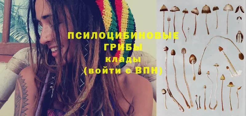 Псилоцибиновые грибы мицелий  что такое   Горячий Ключ 